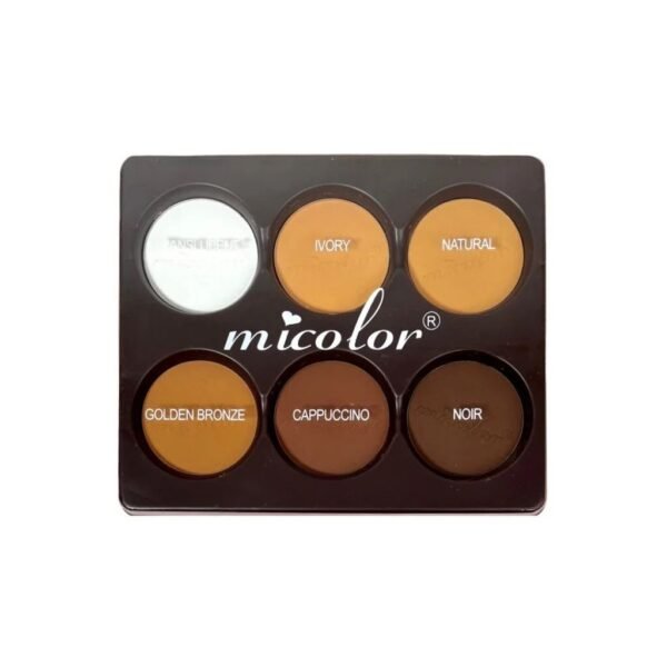 Micolor powder palette 6in1