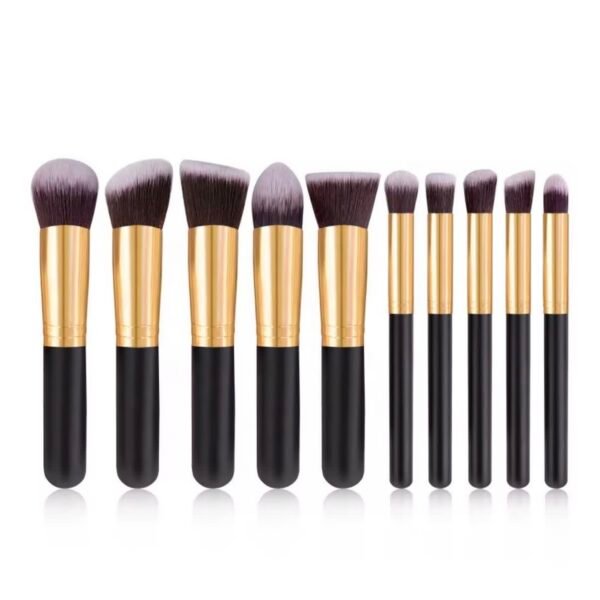 Veninow kabuki 10 in 1 brush set