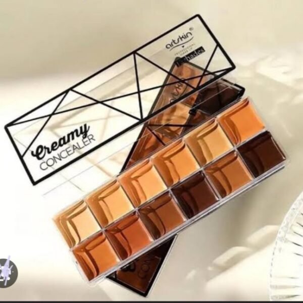 Artskin 24 hrs wear Goodbye Dark Spots Creamy Concealer pallete | 12 Shades
